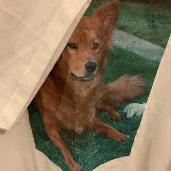 Single Stitched Hanes Short Sleeve Large - Picture 6 of 8